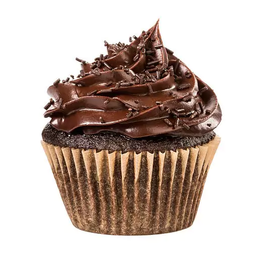 Chocolate Cup Cakes